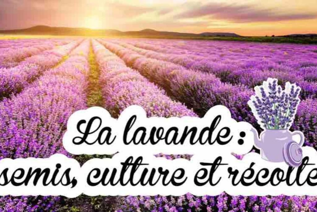 Gite De Charme Le Val Mellis Classe 3 Etoiles Dans La Douceur Provencale Vaumeilh エクステリア 写真